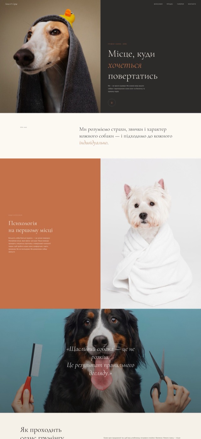 Grooming website preview